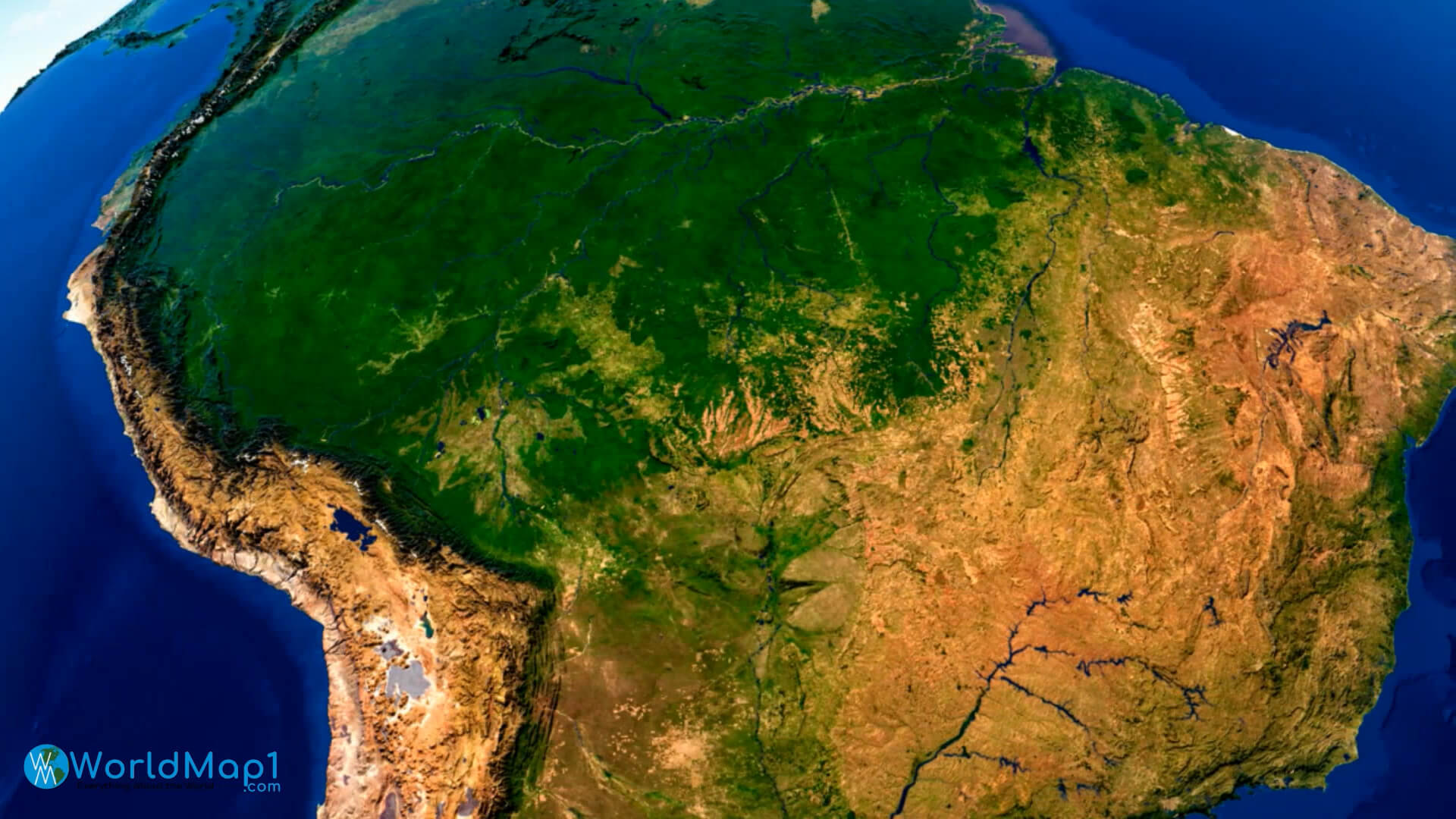 South America Amazon Rainforest Satellite Image
